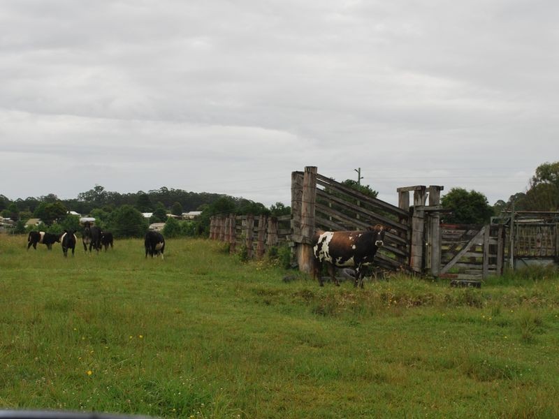 Lot 131 Lowanna Road, Lowanna NSW 2450