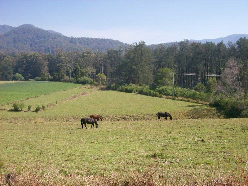 153 Darkwood Road, Thora NSW 2454