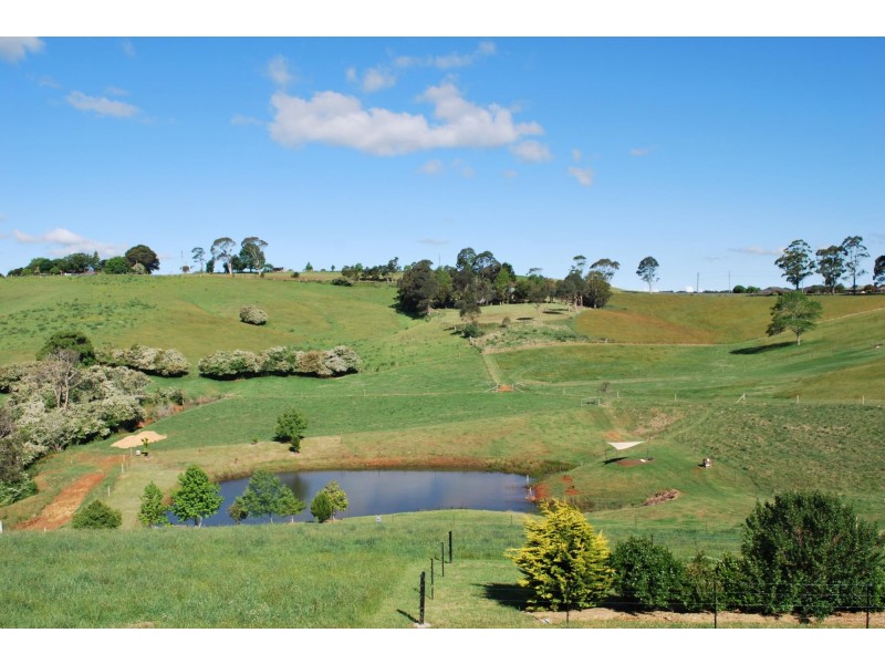 24 Kurrajong Street, Dorrigo NSW 2453