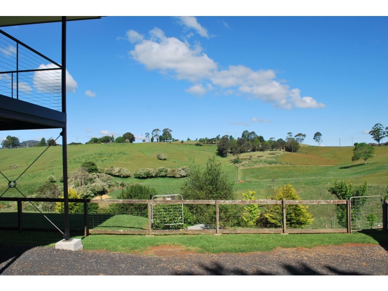 24 Kurrajong Street, Dorrigo NSW 2453