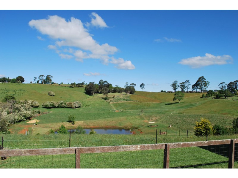 24 Kurrajong Street, Dorrigo NSW 2453