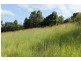 9 Redgum Crescent, Bellingen NSW 2454