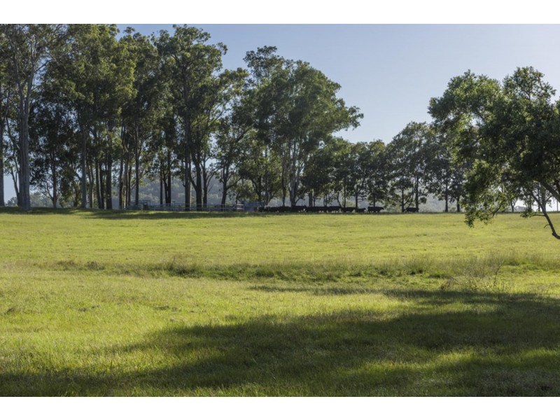 3514 Orara Way, Kremnos NSW 2460