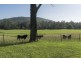 3514 Orara Way, Kremnos NSW 2460