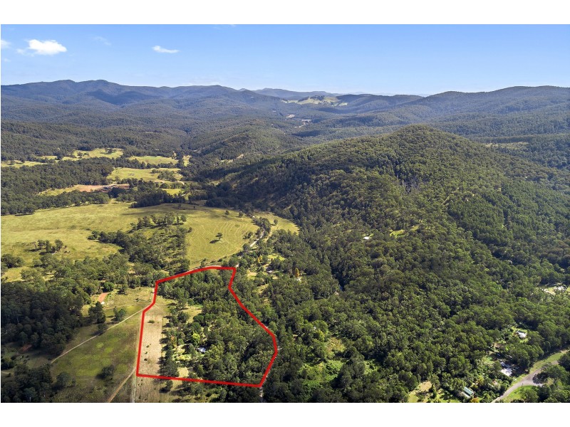 77 Sheepstation Creek Road, Dorrigo NSW 2453