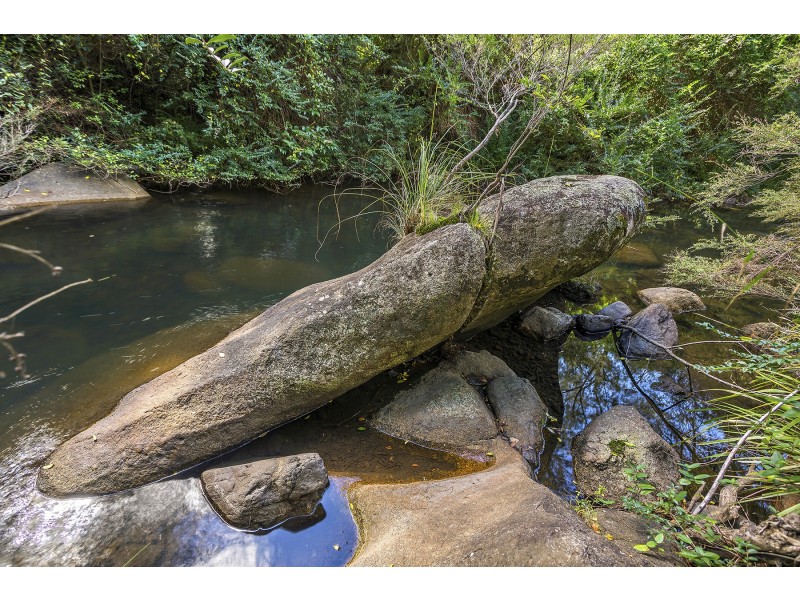 77 Sheepstation Creek Road, Dorrigo NSW 2453