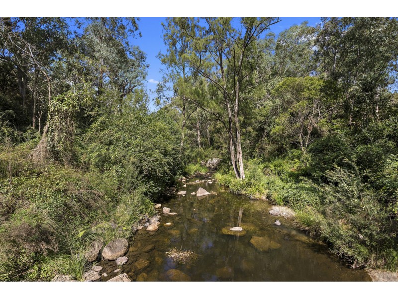 77 Sheepstation Creek Road, Dorrigo NSW 2453