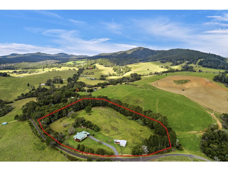 376 Slingsbys Road, Dorrigo NSW 2453