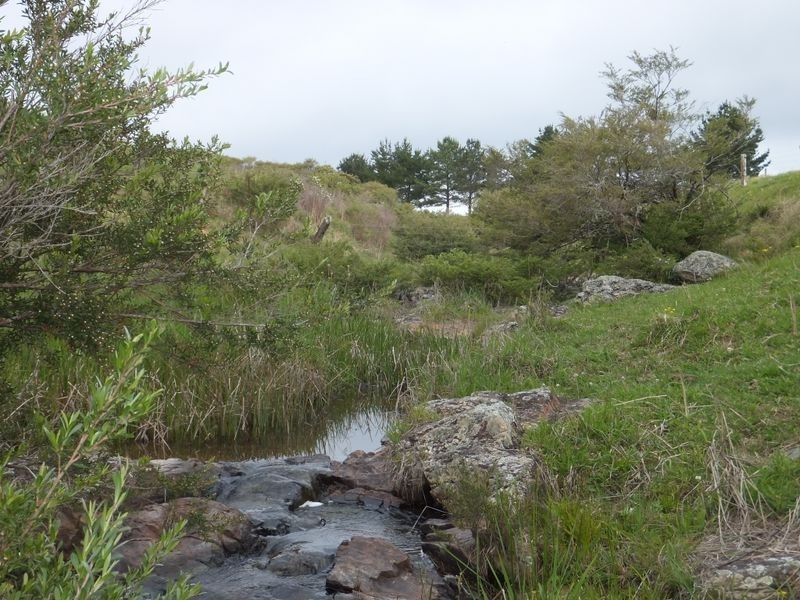 200 Camp Creek Road, Lowanna NSW 2450