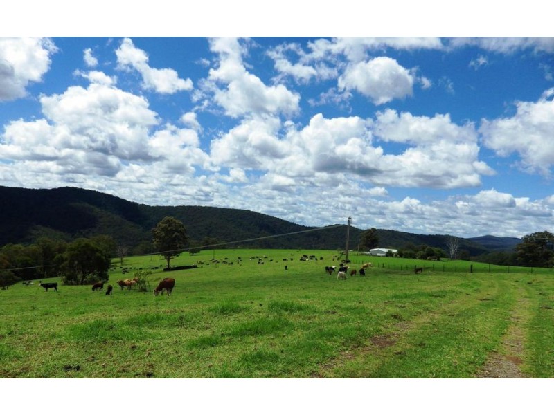 116 Mollydale Road, Tyringham NSW 2453