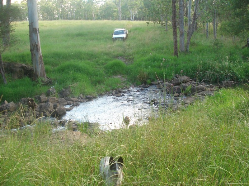 116 Mollydale Road, Tyringham NSW 2453