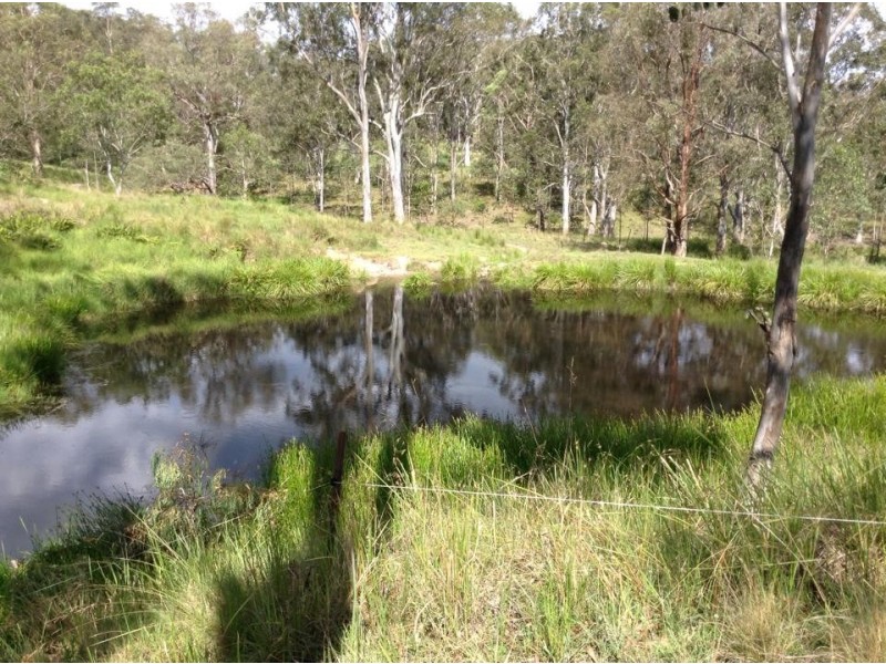 116 Mollydale Road, Tyringham NSW 2453