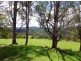 116 Mollydale Road, Tyringham NSW 2453