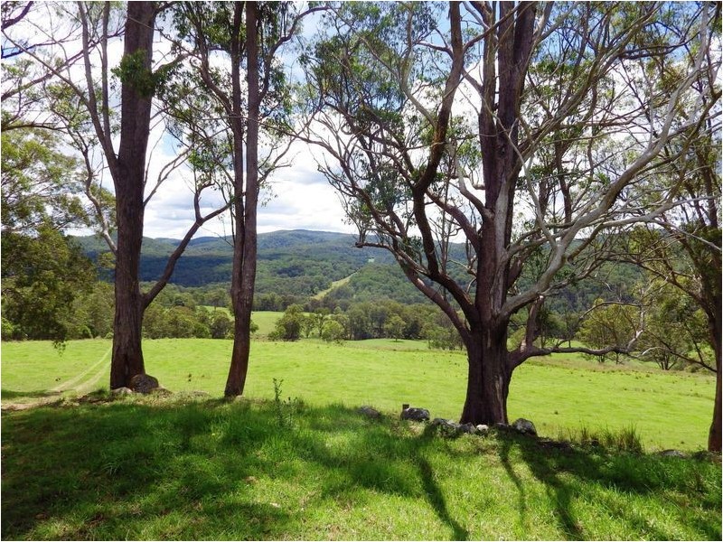 116 Mollydale Road, Tyringham NSW 2453