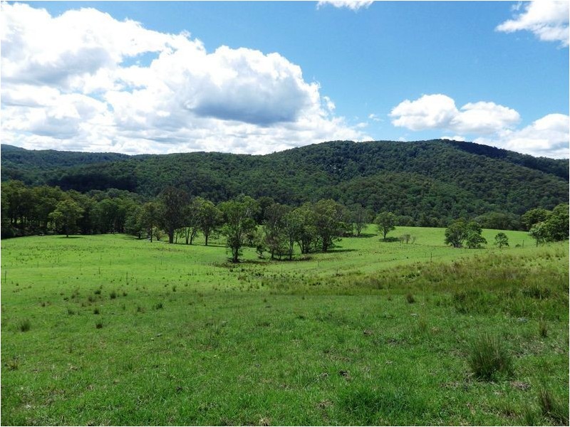 116 Mollydale Road, Tyringham NSW 2453