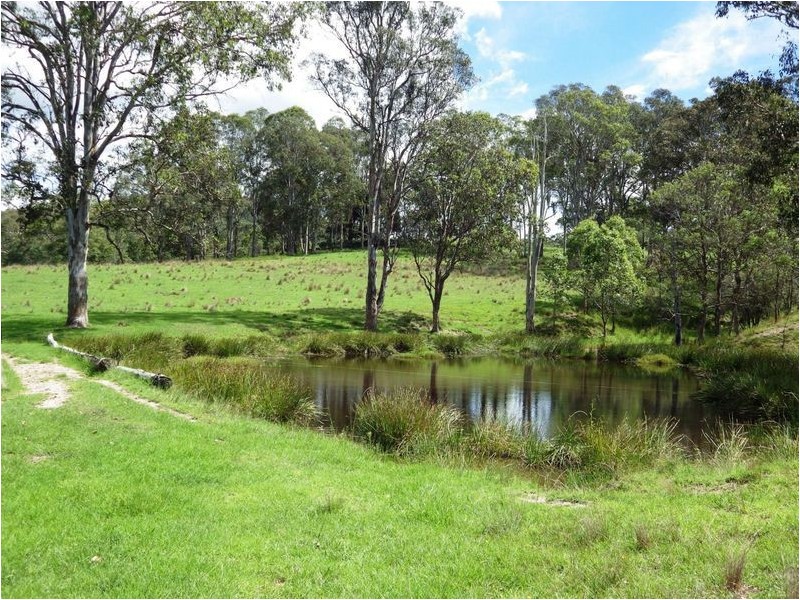 116 Mollydale Road, Tyringham NSW 2453