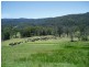 116 Mollydale Road, Tyringham NSW 2453