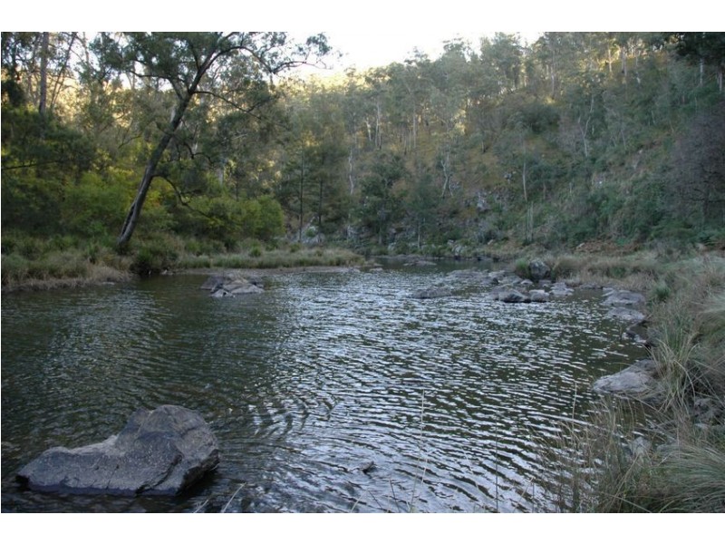 116 Mollydale Road, Tyringham NSW 2453