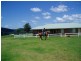 116 Mollydale Road, Tyringham NSW 2453