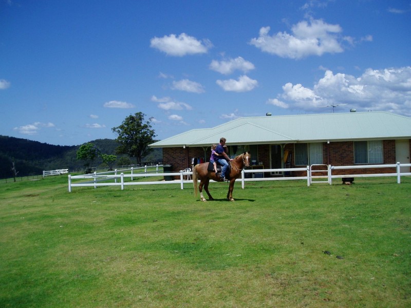 116 Mollydale Road, Tyringham NSW 2453