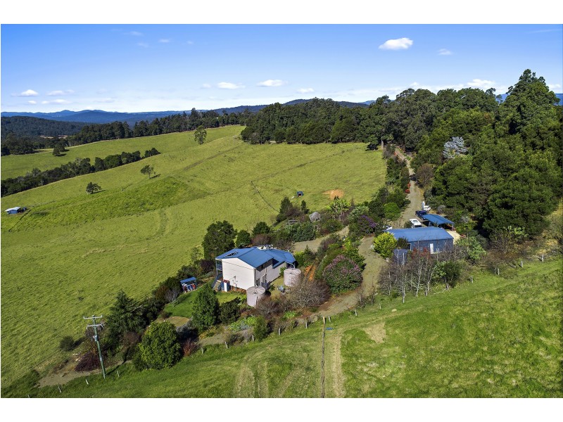 370 Schultz Road, Dorrigo NSW 2453