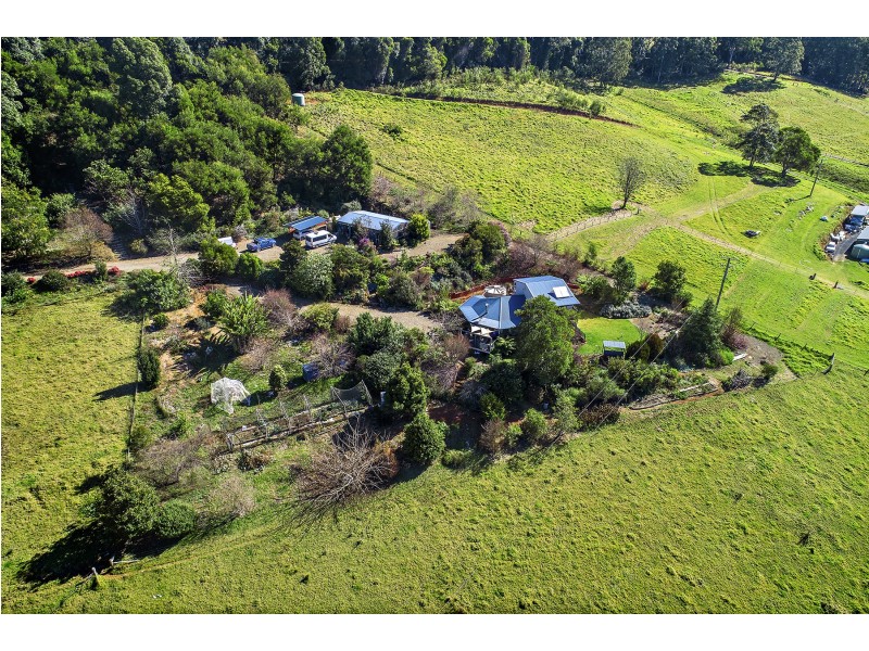 370 Schultz Road, Dorrigo NSW 2453