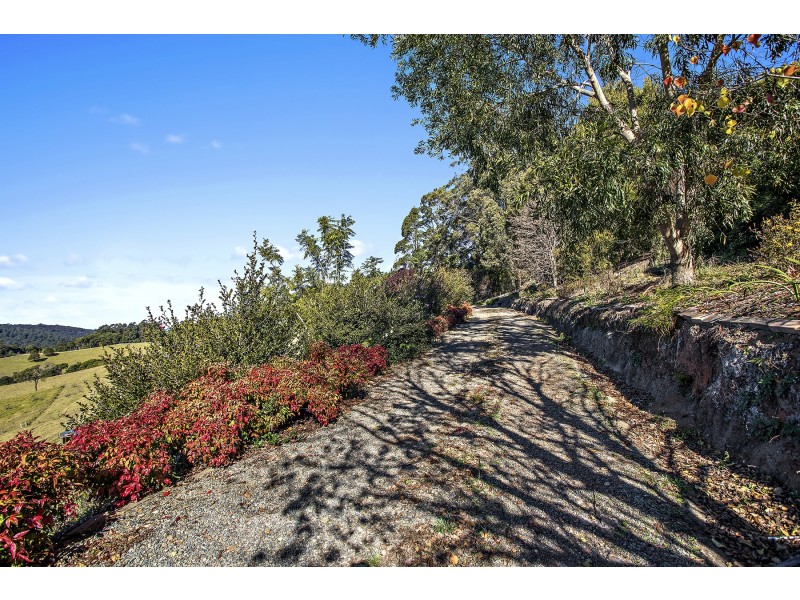 370 Schultz Road, Dorrigo NSW 2453