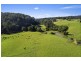 370 Schultz Road, Dorrigo NSW 2453