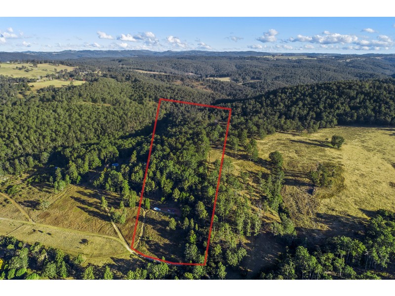 Lot 2/77 Sheepstation Creek Road, Dorrigo NSW 2453