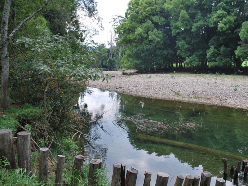 63 Dairyville Road, Upper Orara NSW 2450