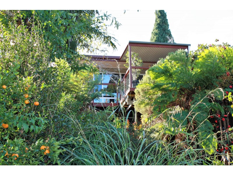 97 Beryl Street, Coffs Harbour NSW 2450