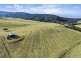 360 Schultz Road, Billys Creek NSW 2453