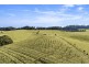 360 Schultz Road, Billys Creek NSW 2453
