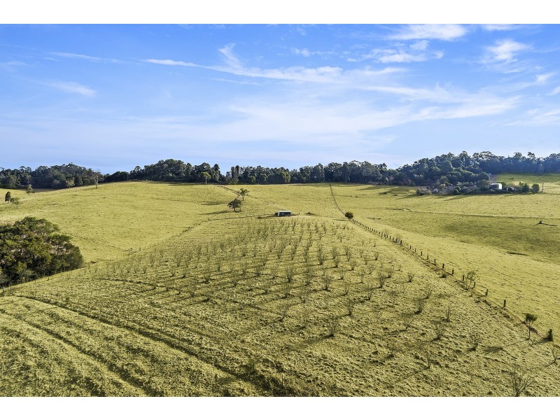 360 Schultz Road, Billys Creek NSW 2453
