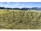 360 Schultz Road, Billys Creek NSW 2453