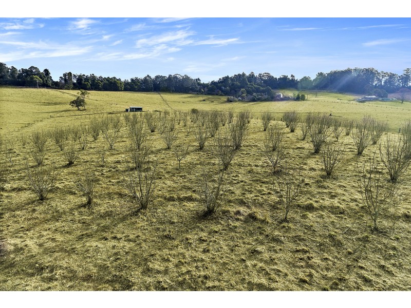360 Schultz Road, Billys Creek NSW 2453