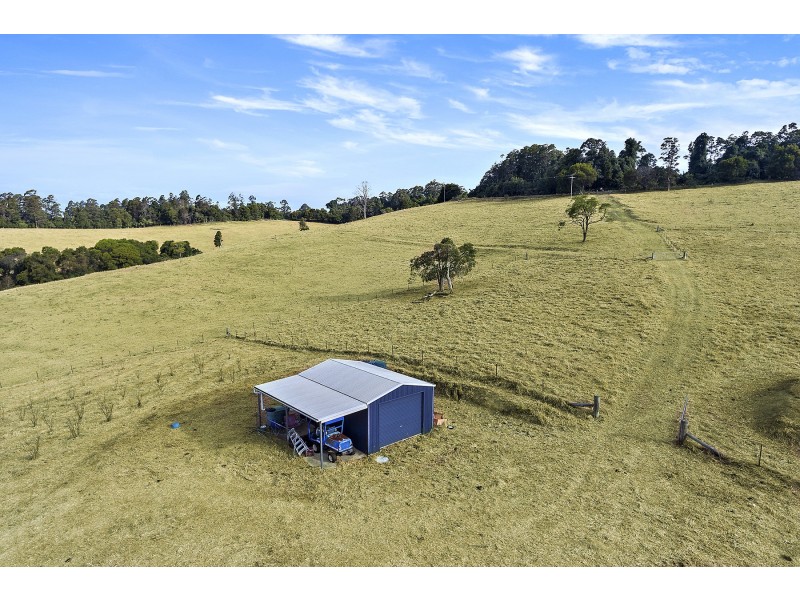 360 Schultz Road, Billys Creek NSW 2453