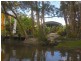 61 Fishermans Drive, Emerald Beach NSW 2456