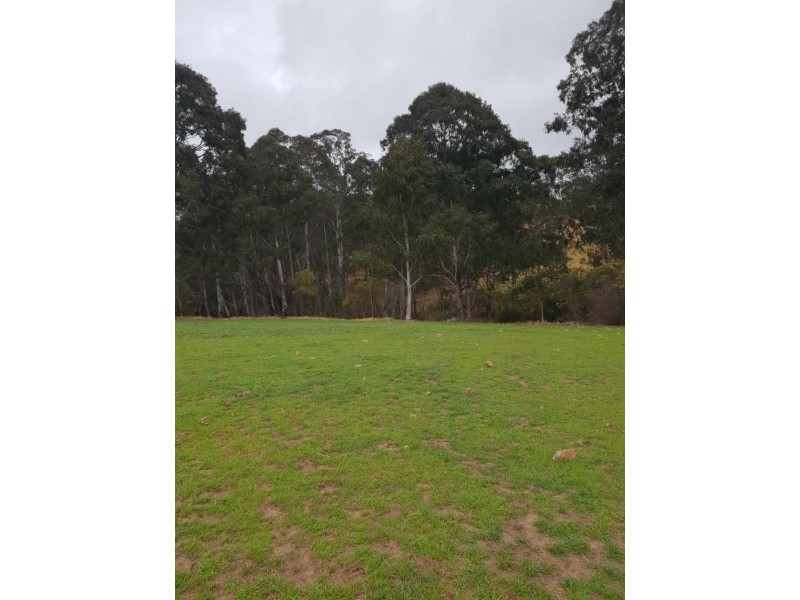 8031 Armidale Road, Dundurrabin NSW 2453