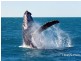 740-742 Pacific Highway, Sapphire Beach NSW 2450