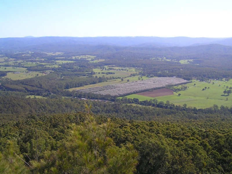 1604 Orara Way, Nana Glen NSW 2450