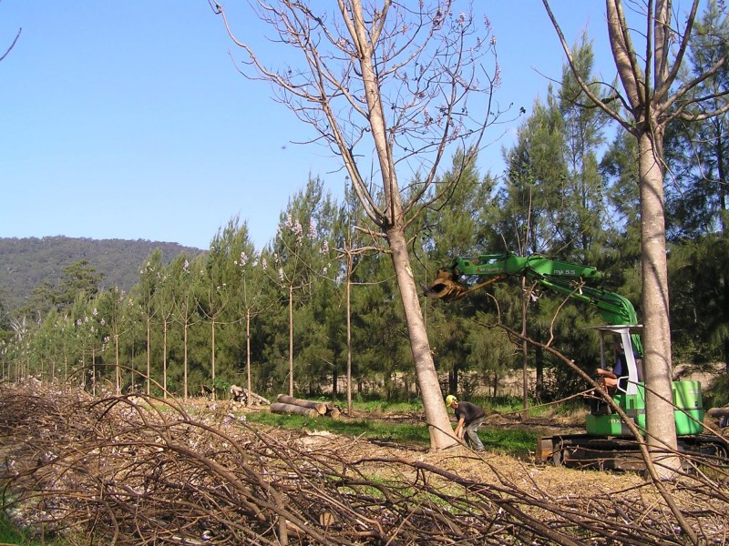 1604 Orara Way, Nana Glen NSW 2450