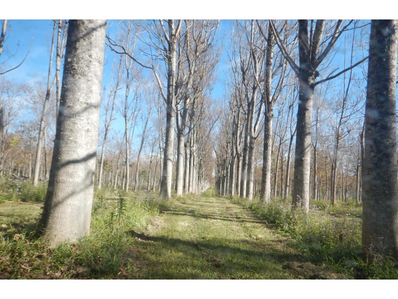 1604 Orara Way, Nana Glen NSW 2450