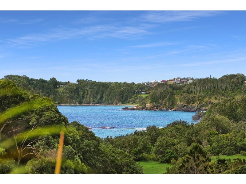 3 Coachmans Close, Sapphire Beach NSW 2450