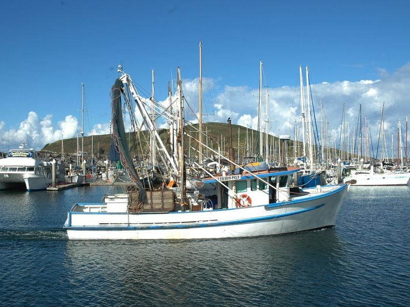 14/740-742 Pacific Highway, Sapphire Beach NSW 2450