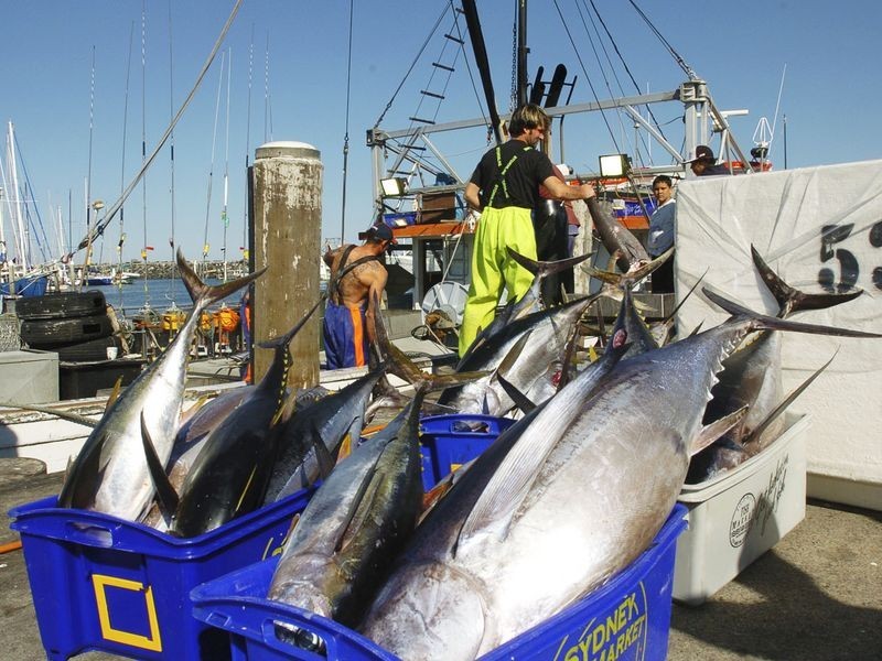 15/740-742 Pacific Highway, Sapphire Beach NSW 2450