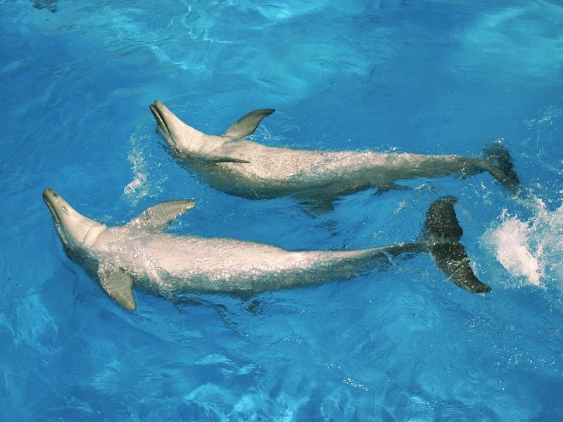 37/740-742 Pacific Highway, Sapphire Beach NSW 2450