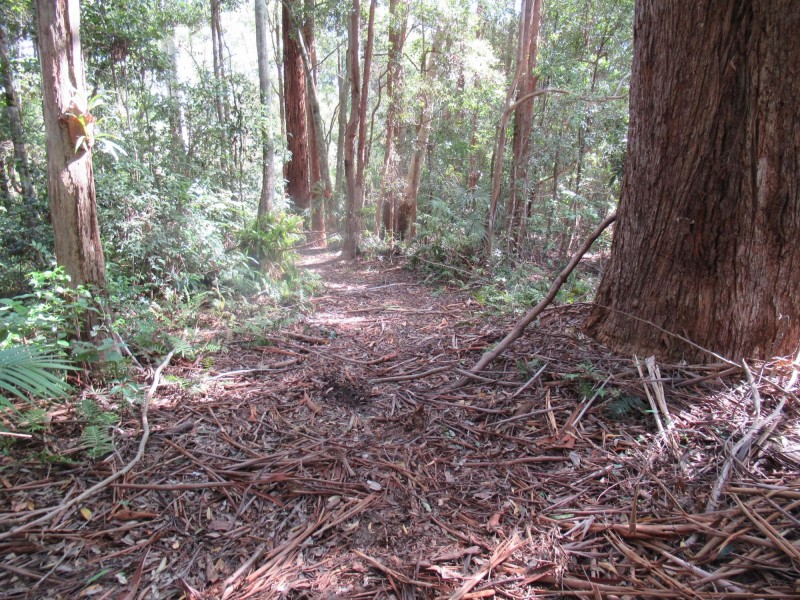 265 Mardells Road, Bucca NSW 2450