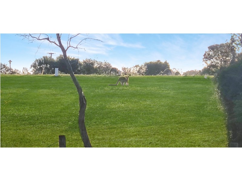 3/172 Ski Lodge Road, Seelands NSW 2460