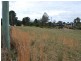 Lot 21 Timms Avenue, Ulong NSW 2450